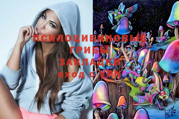 гидропоника Беломорск
