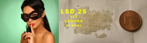 эйфоретик Белокуриха
