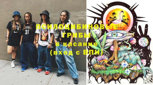 эйфоретик Белокуриха
