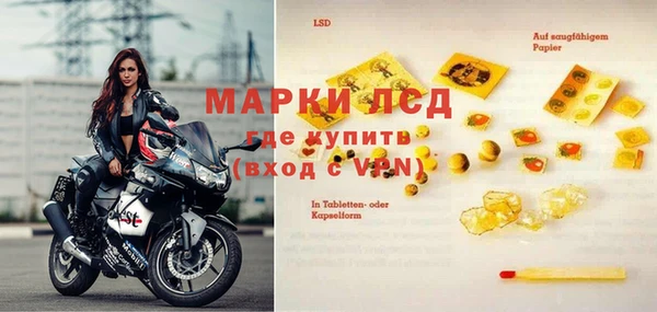 эйфоретик Белокуриха